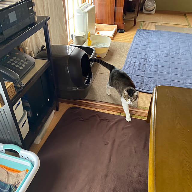 nanohanaさんの部屋