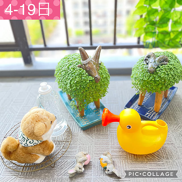 aureaさんの実例写真