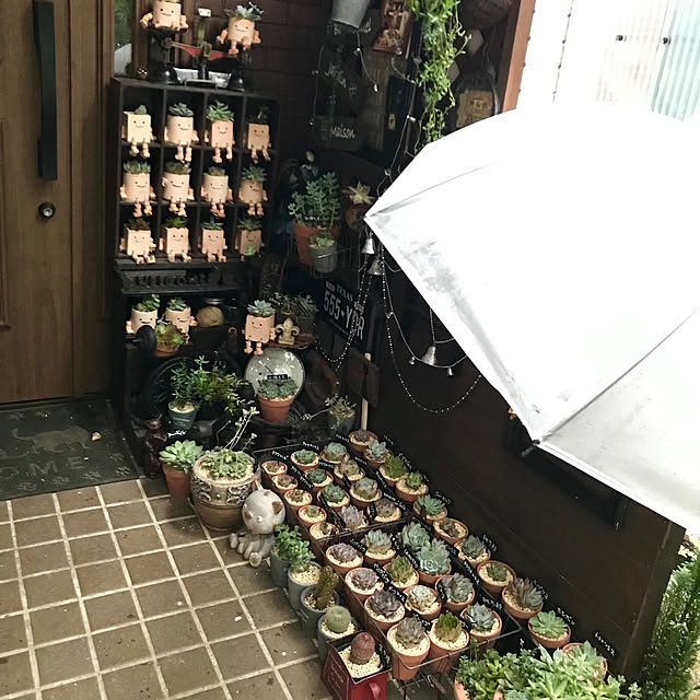 butachanさんの実例写真