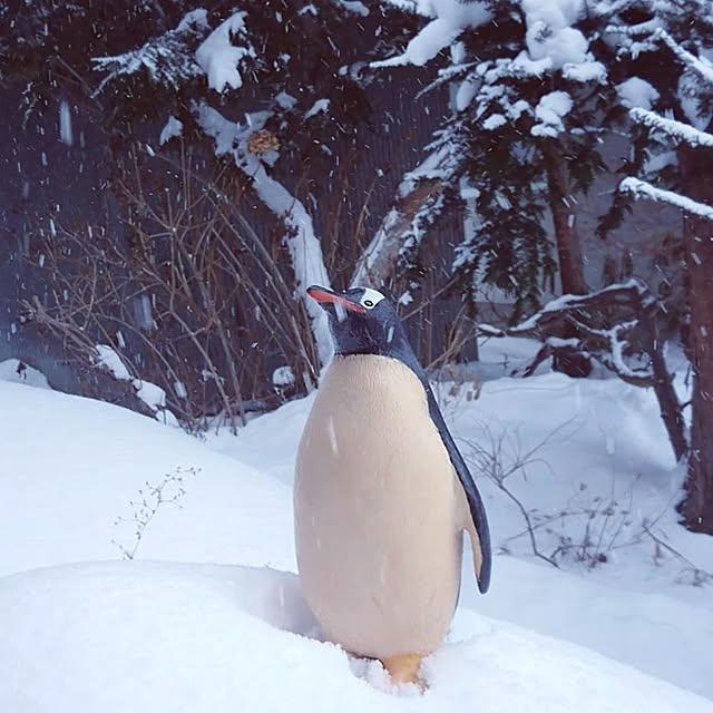 monnさんの実例写真