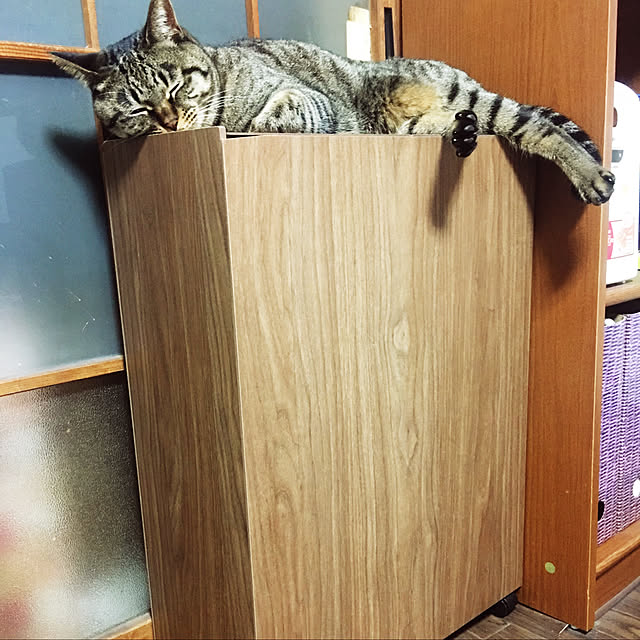 KINGさんの実例写真