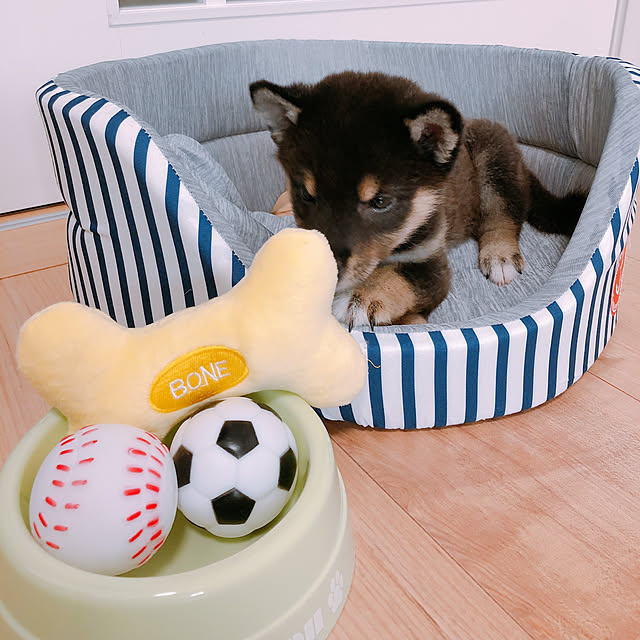 mintさんの実例写真