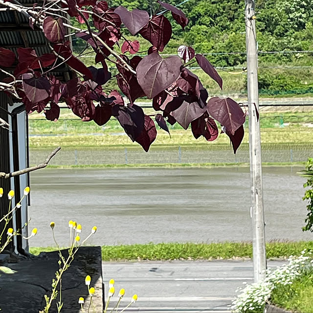 cota2さんの部屋