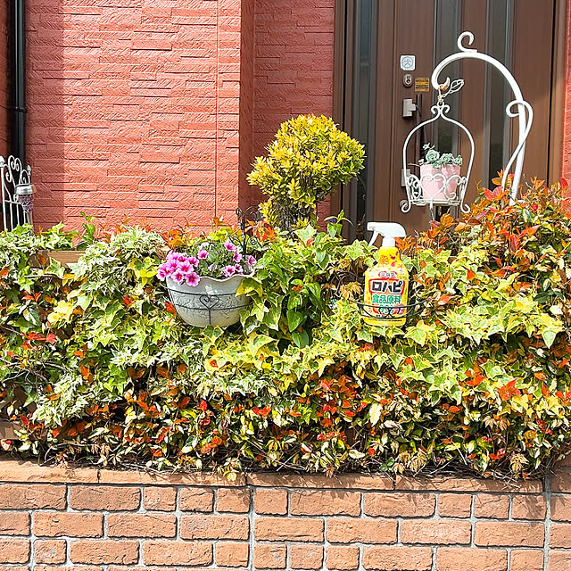 mukkuさんの実例写真