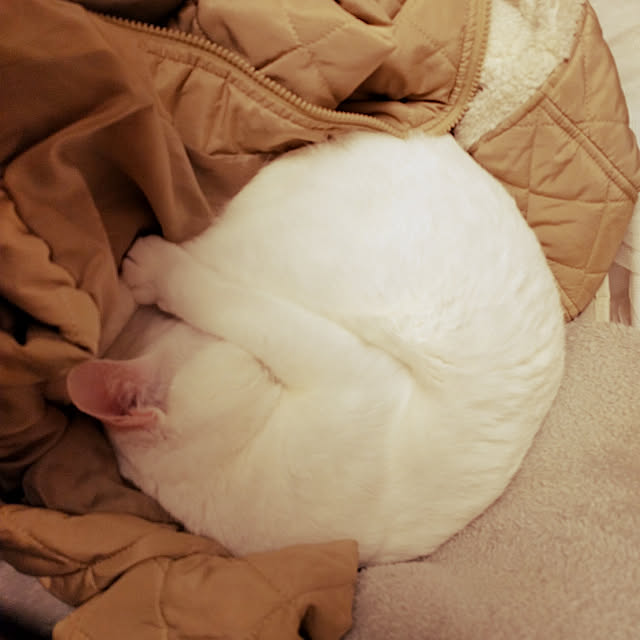 keikomokonさんの実例写真