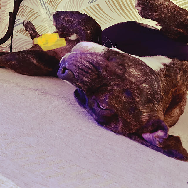 Maさんの実例写真