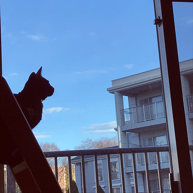 suemonta14さんの実例写真