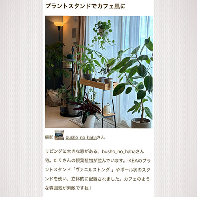 busho_no_hahaさんの実例写真