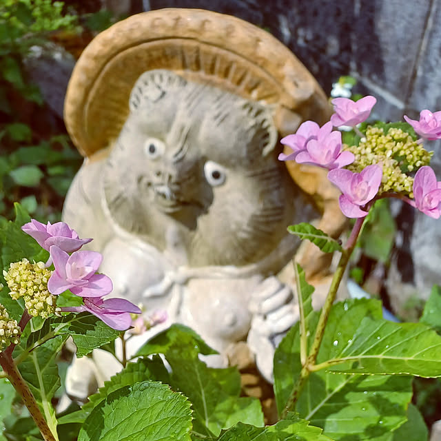 hiro-yさんの実例写真