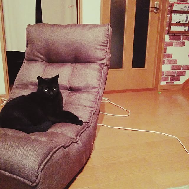 mametarouさんの実例写真