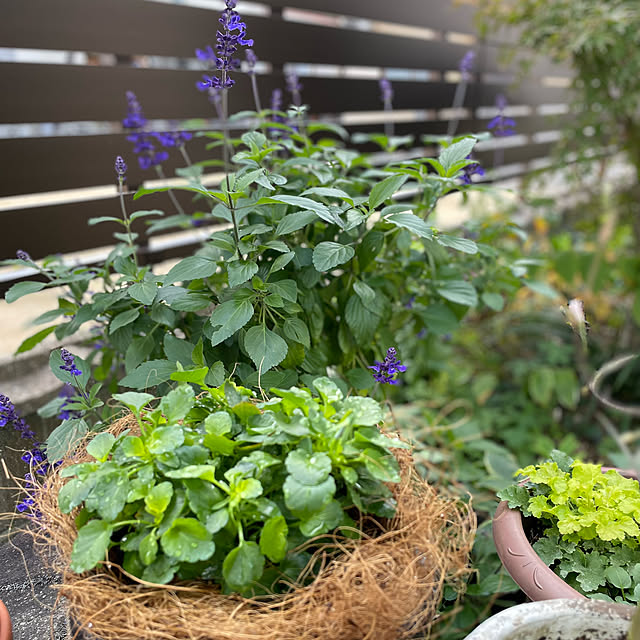 buchiさんの実例写真