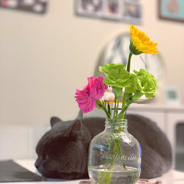 kittyさんの実例写真