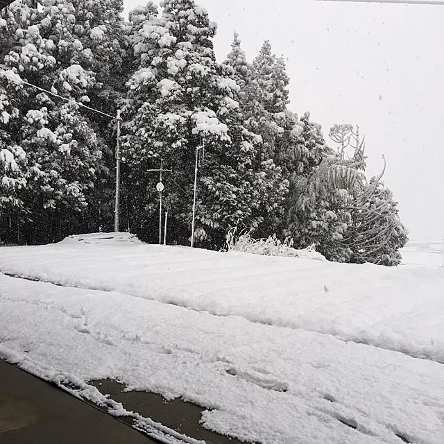 khma88さんの実例写真