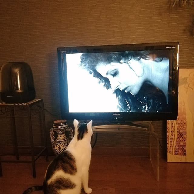 nahocさんの部屋