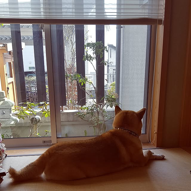 konatuさんの実例写真