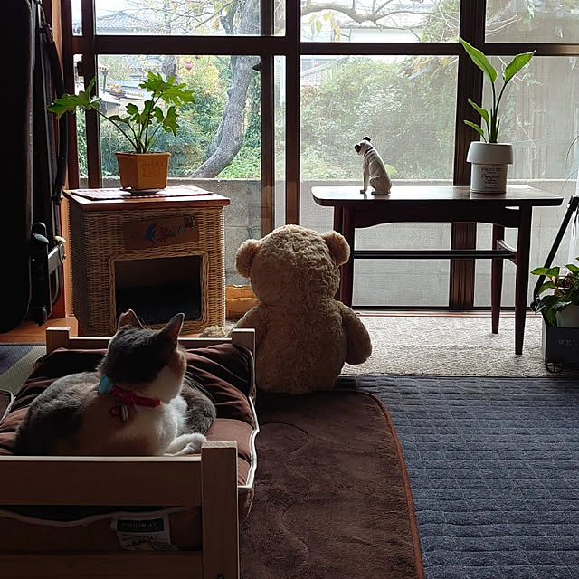 fukuさんの実例写真