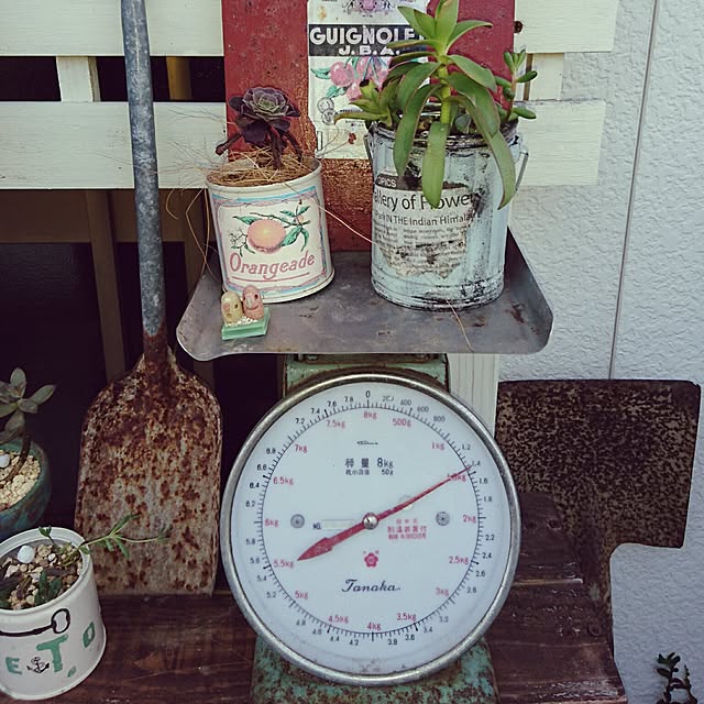 tetoさんの実例写真