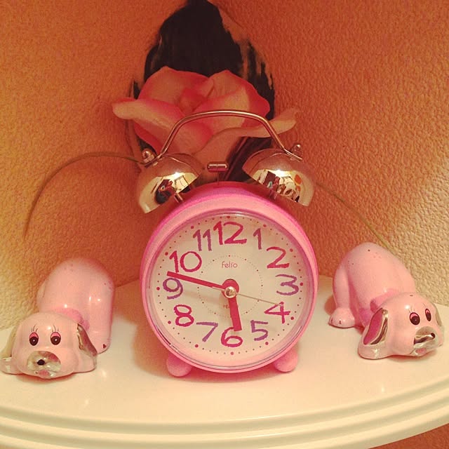 Dianeさんの実例写真