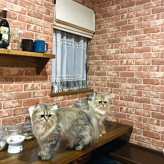 butachanさんの実例写真