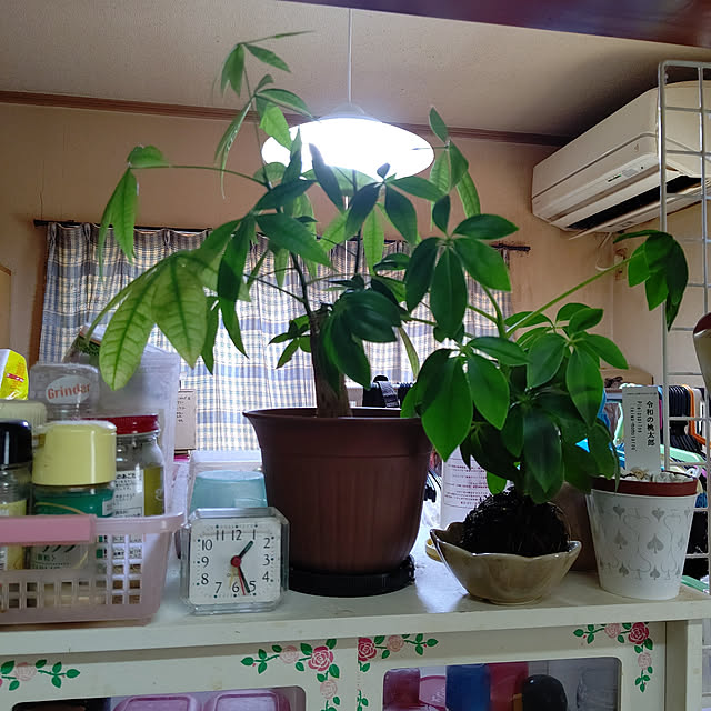 yumirinさんの実例写真