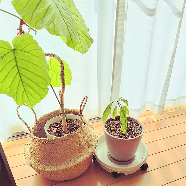 mutsuさんの実例写真