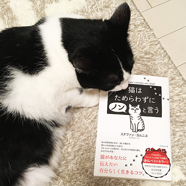 bikkeさんの実例写真