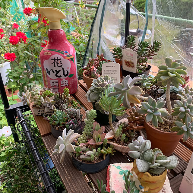 Aqettyさんの部屋