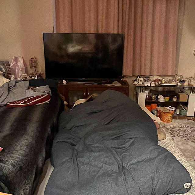 chi_gogaさんの実例写真