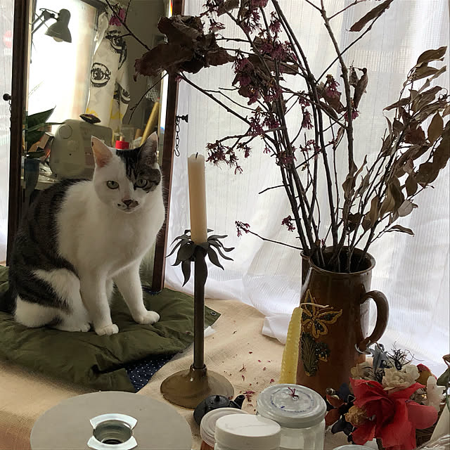 usacoさんの実例写真