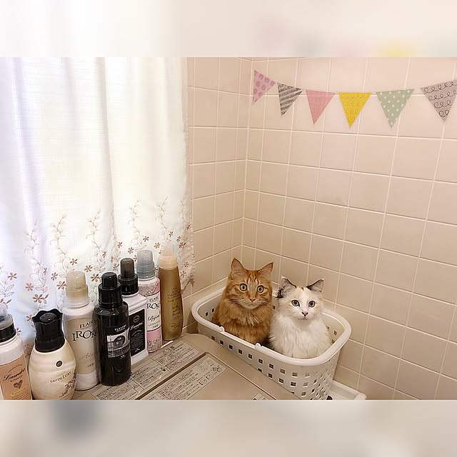 mokkoさんの実例写真