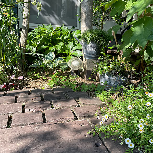 nobikoさんの実例写真