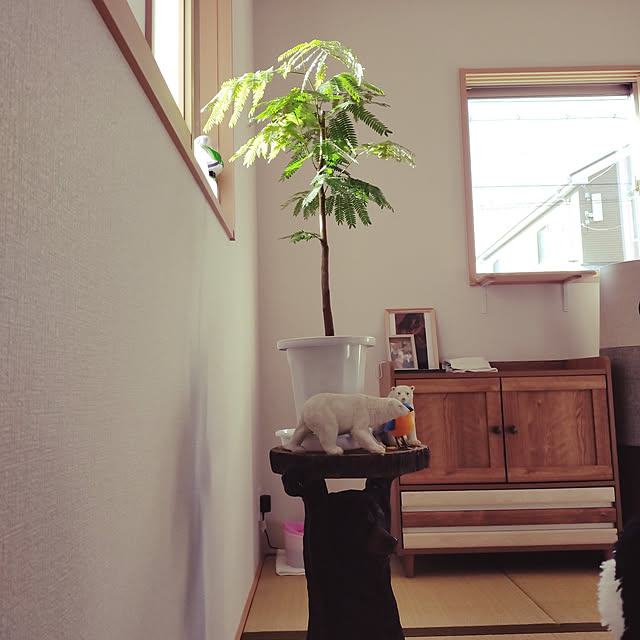 nnk.akさんの実例写真