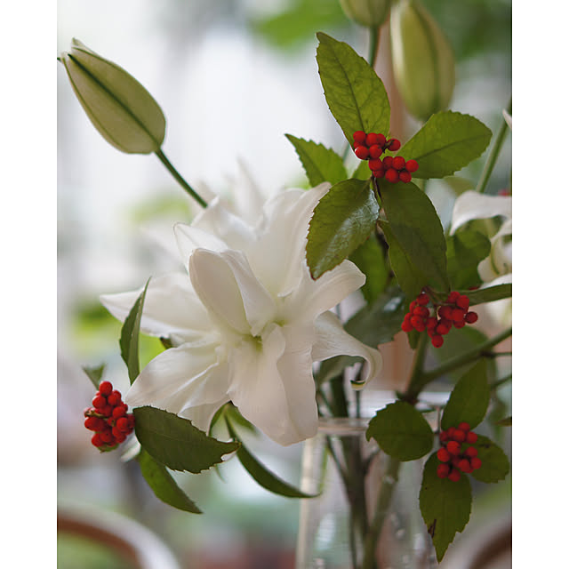 noriflowerさんの部屋