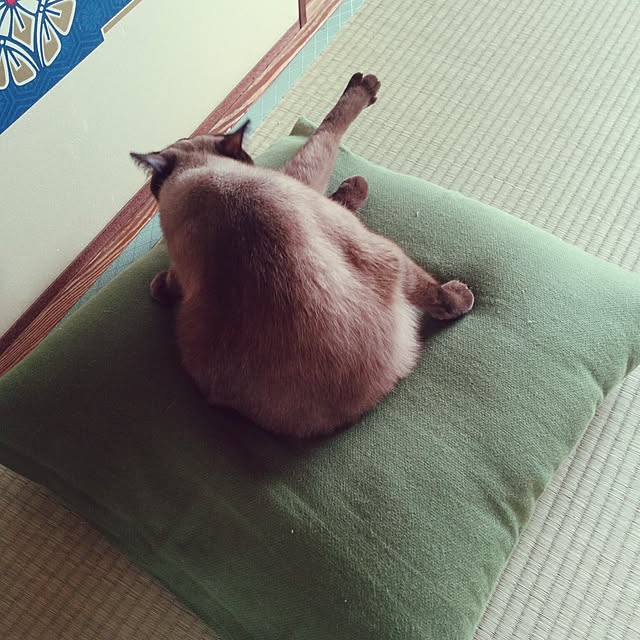 naka77さんの実例写真