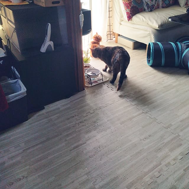 runaさんの部屋