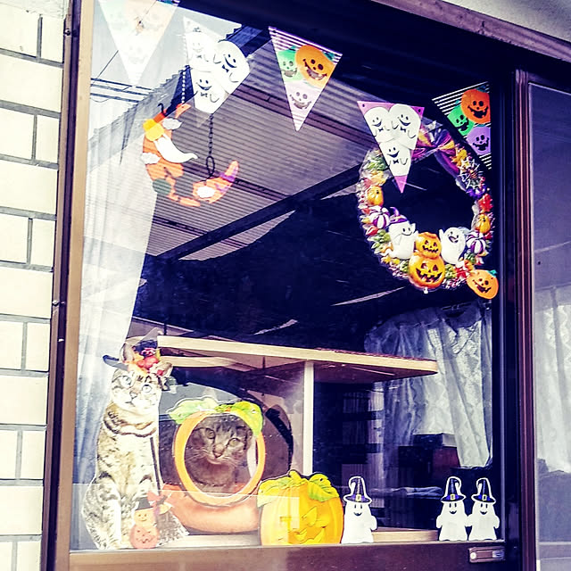 tantomeenさんの実例写真