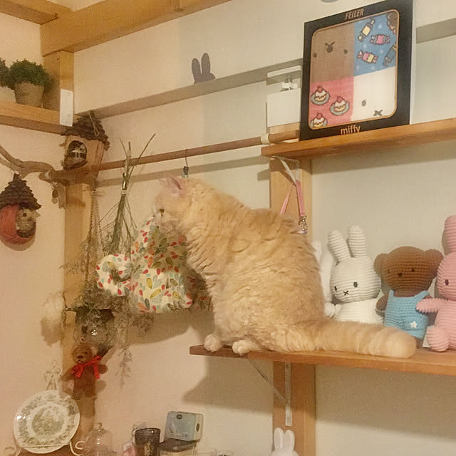 naokoさんの部屋