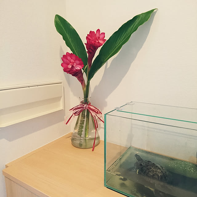 pomeさんの実例写真