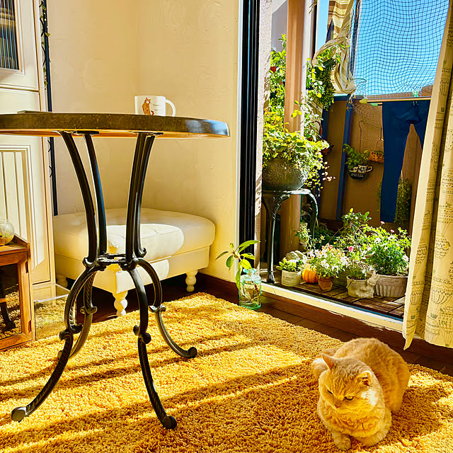 naokoさんの部屋