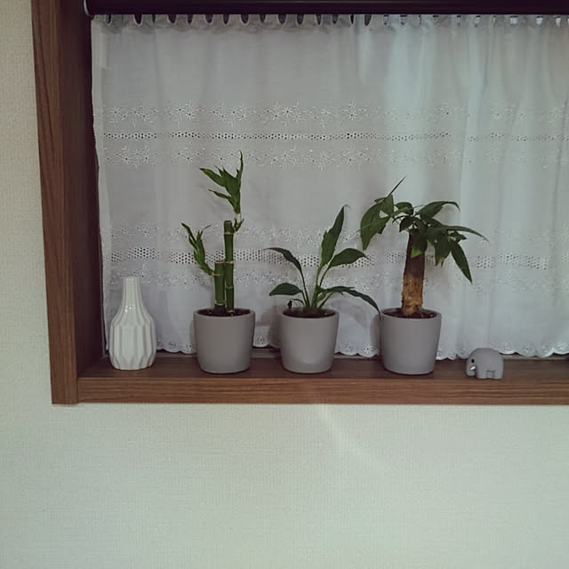 ohal.さんの実例写真