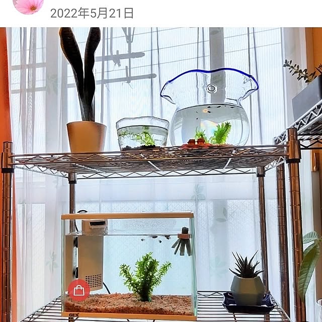 nonkoさんの部屋