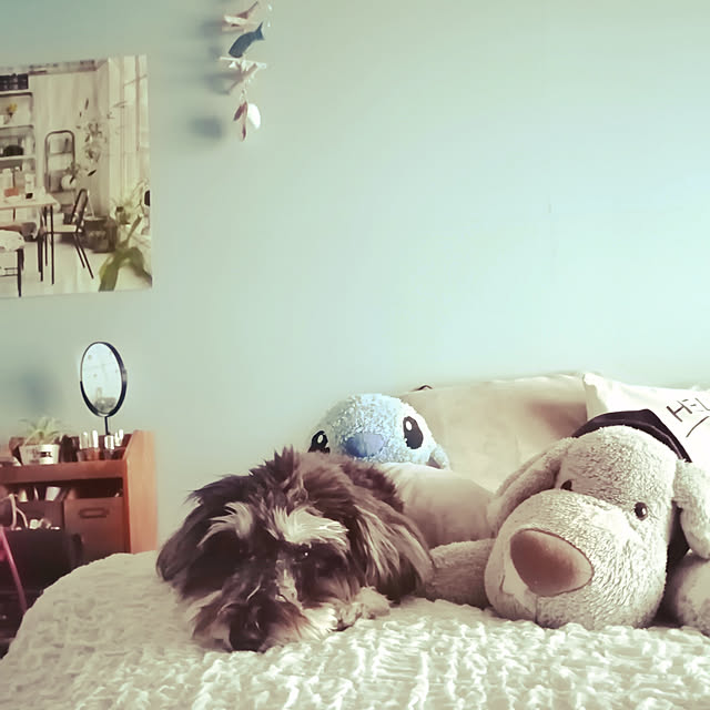 Cozy-m-Roomさんの実例写真