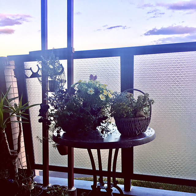 naokoさんの実例写真