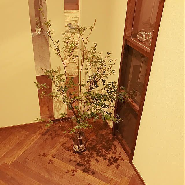 Yumiさんの実例写真