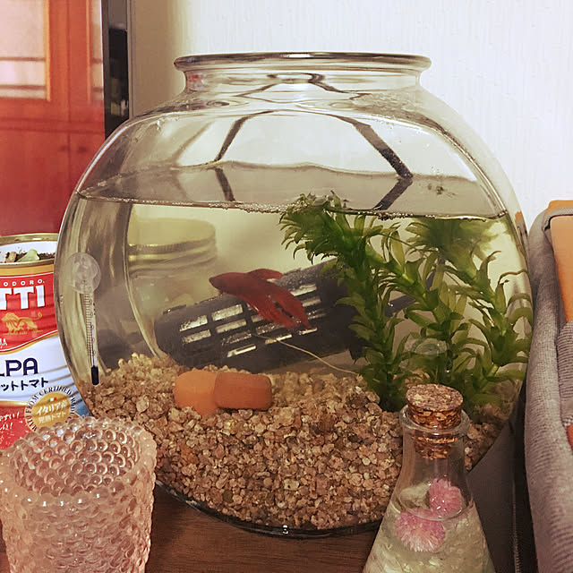 akaneさんの実例写真