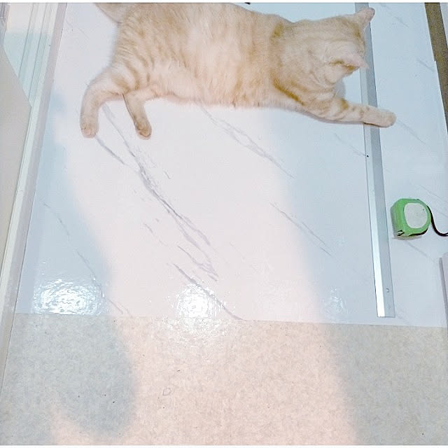 heart.emiemi57.whiteさんの実例写真