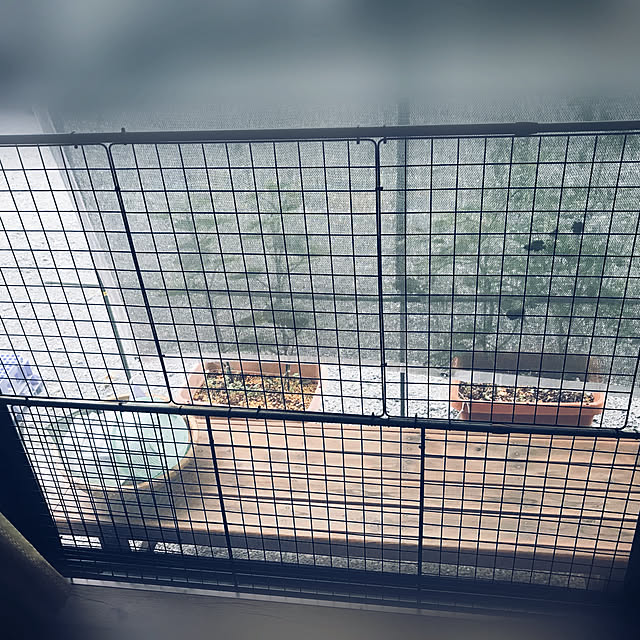 maroさんの部屋