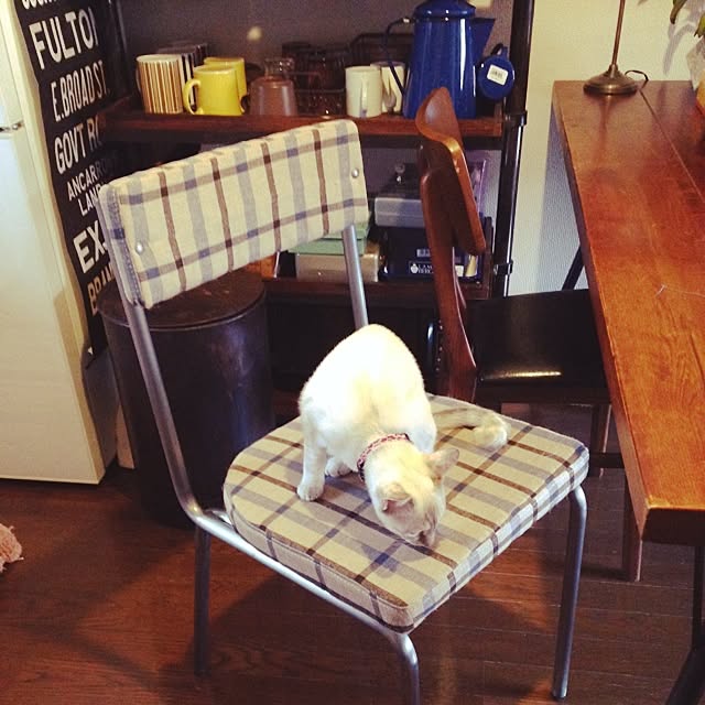 Naoki.さんの実例写真