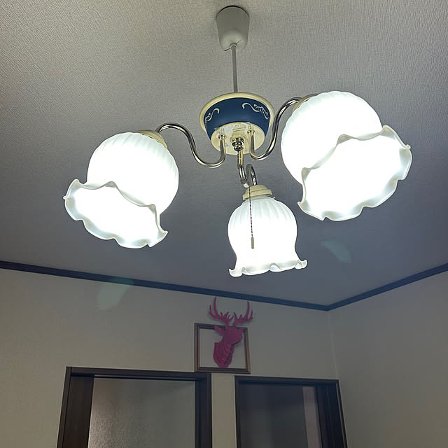 hasehase1219さんの実例写真