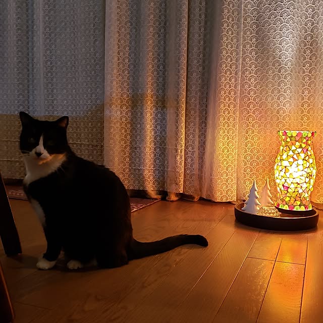 Mayumi8888さんの実例写真